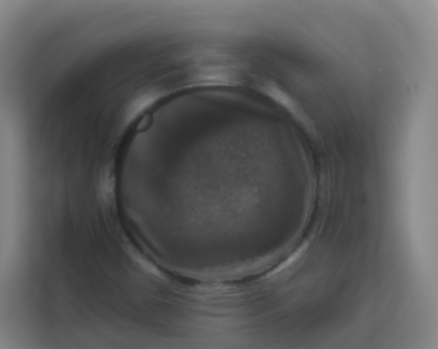 X0000113281450200910051031