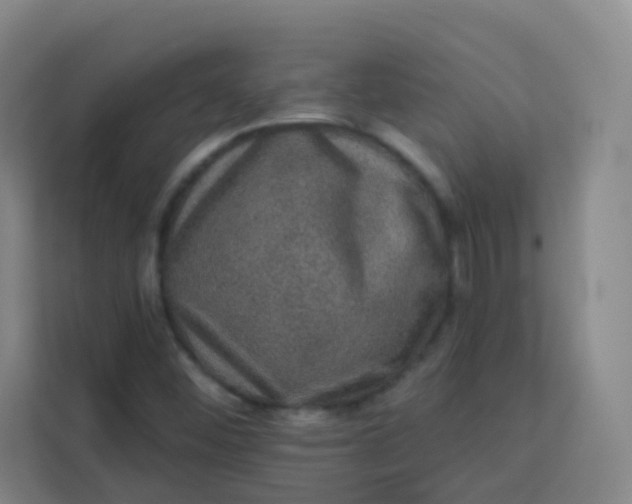 X0000113281452200910051031