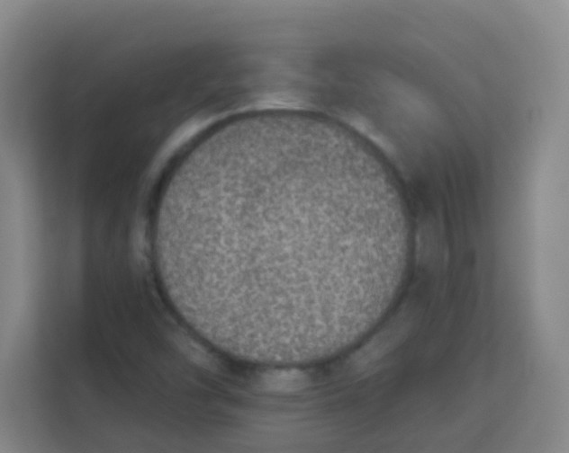 X0000113281454200910051031