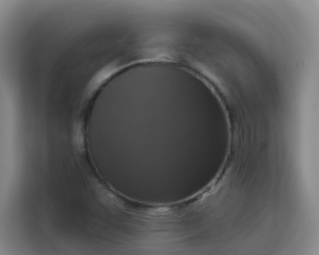 X0000113281455200910051031