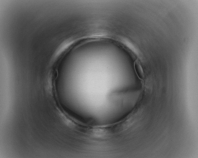 X0000113281456200910051031