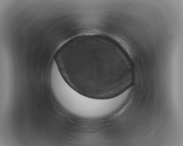 X0000113281457200910051031