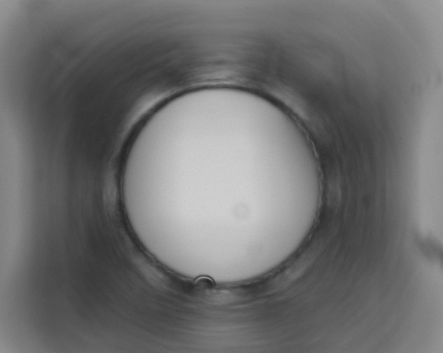 X0000113281458200910051031