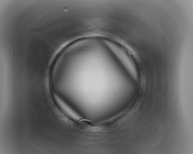 X0000113281460200910051031