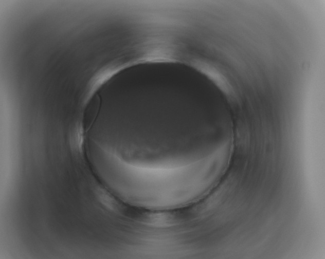 X0000113281461200910051031