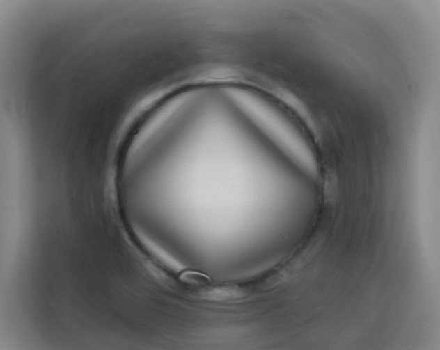 X0000113281464200910051031