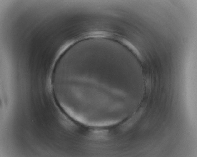 X0000113281466200910051031