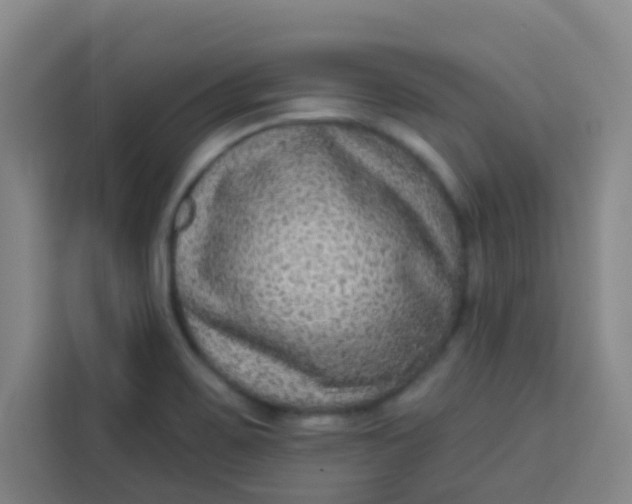 X0000113281467200910051031