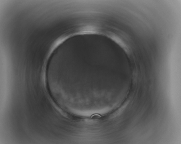 X0000113281469200910051030