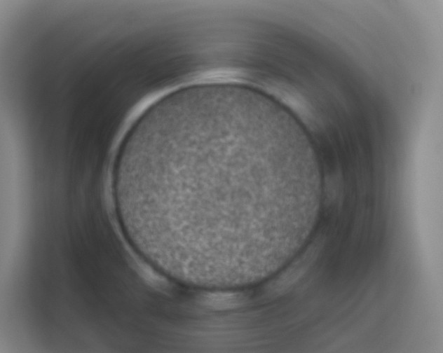 X0000113281470200910051030