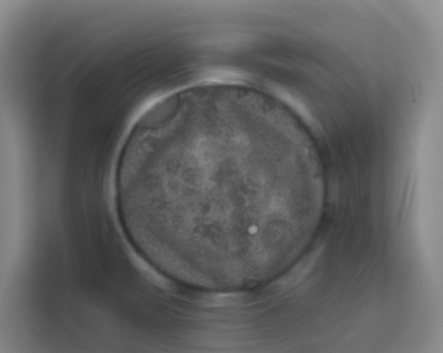 X0000113281471200910051030