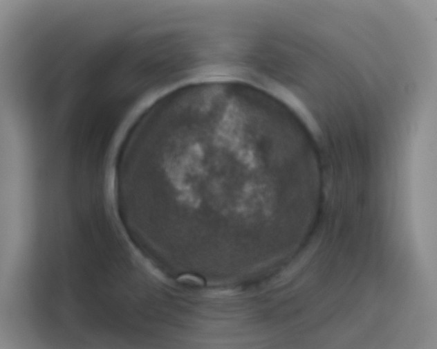 X0000113281472200910051030