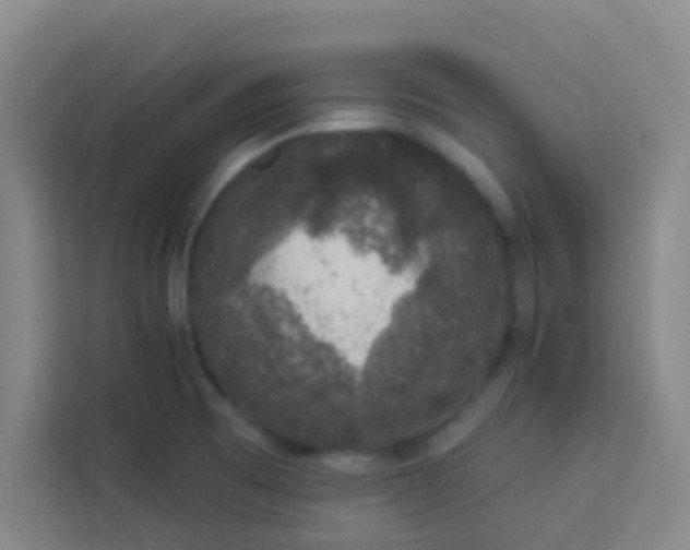 X0000113281473200910051030