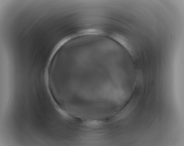 X0000113281474200910051030