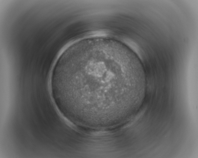 X0000113281475200910051030