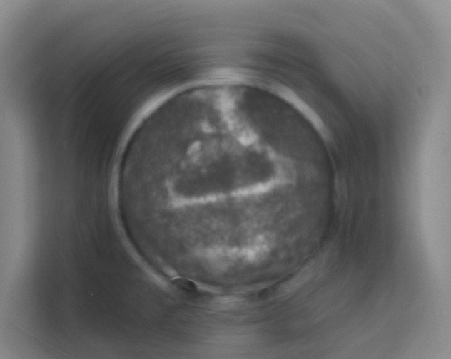 X0000113281477200910051030