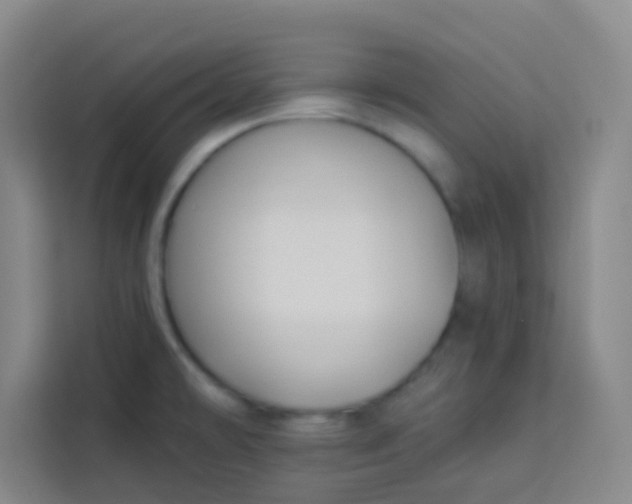 X0000113281478200910051030