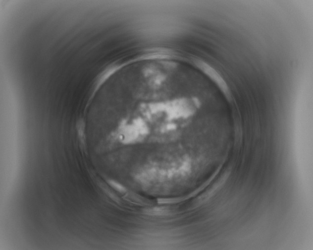 X0000113281481200910051030