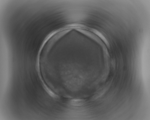 X0000113281482200910051030