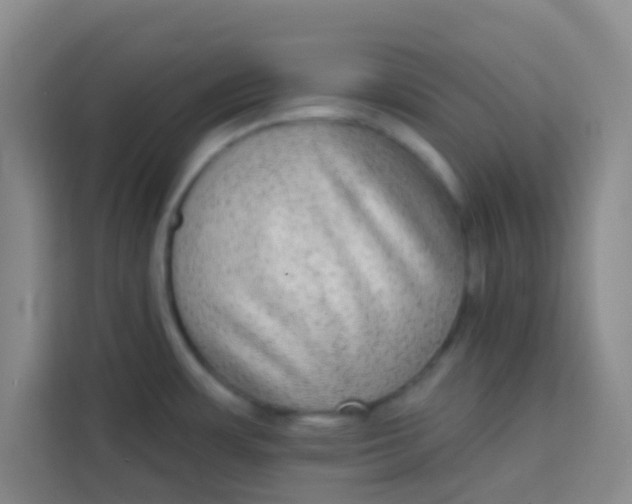 X0000113281483200910051030