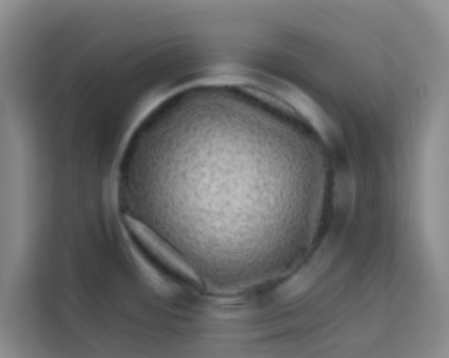 X0000113281484200910051030