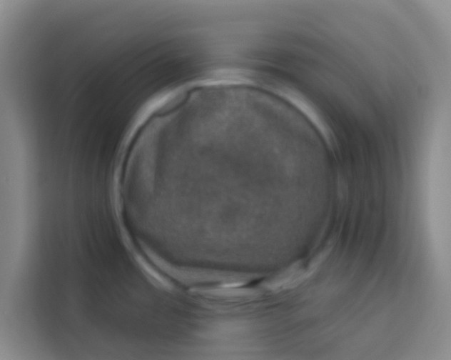 X0000113281485200910051030