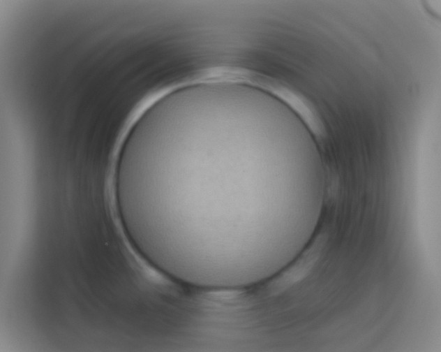 X0000113281486200910051030