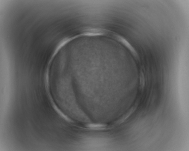 X0000113281487200910051030