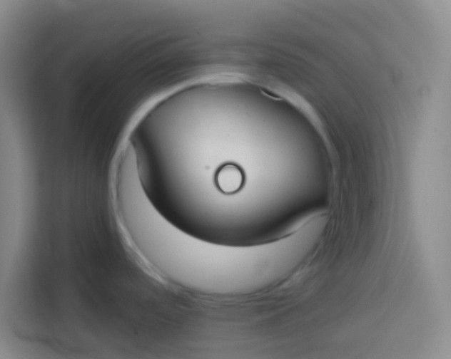 X0000113281488200910051030