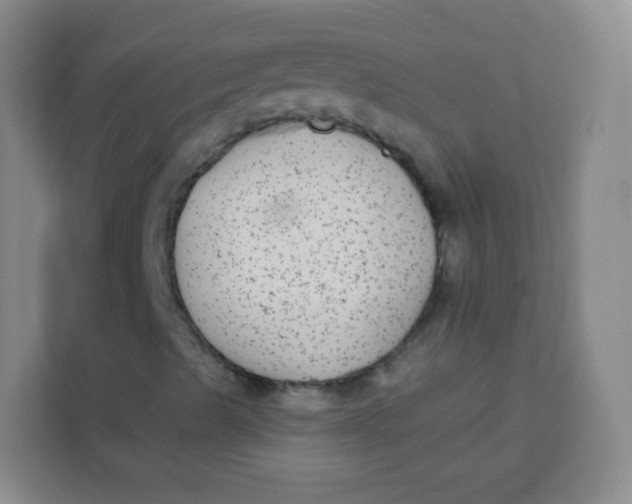 X0000113281489200910051030