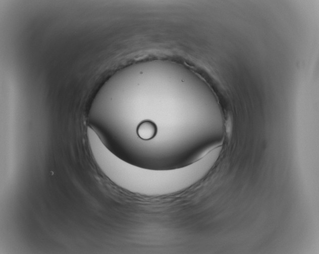 X0000113281492200910051030