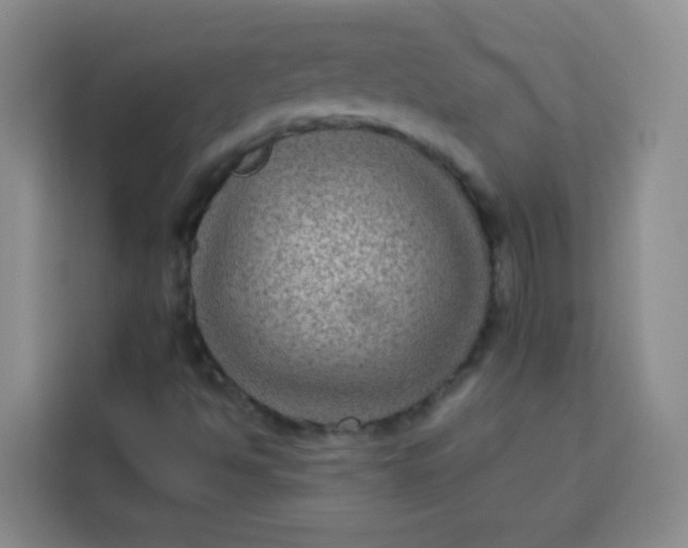 X0000113281494200910051030