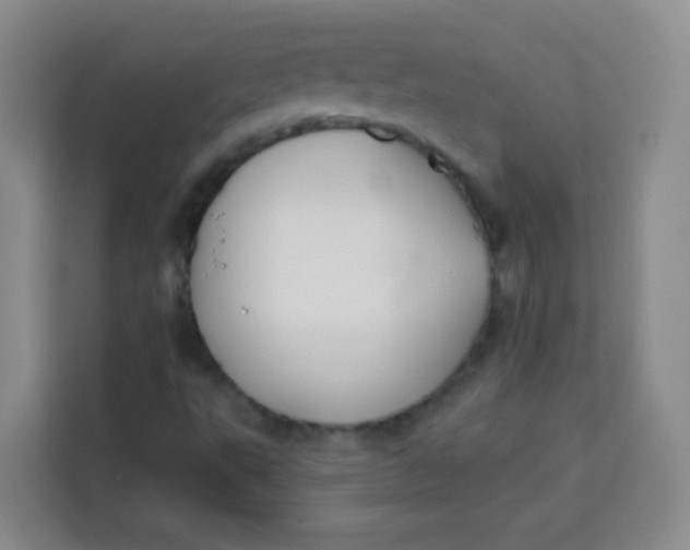 X0000113281495200910051030