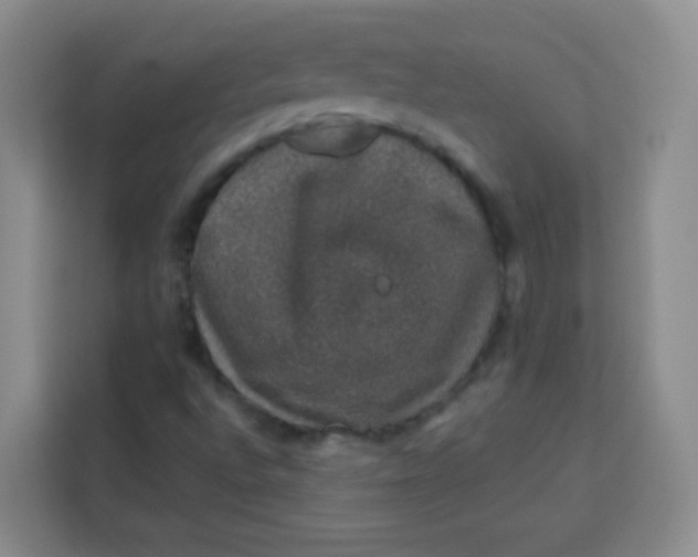 X0000113281496200910051030