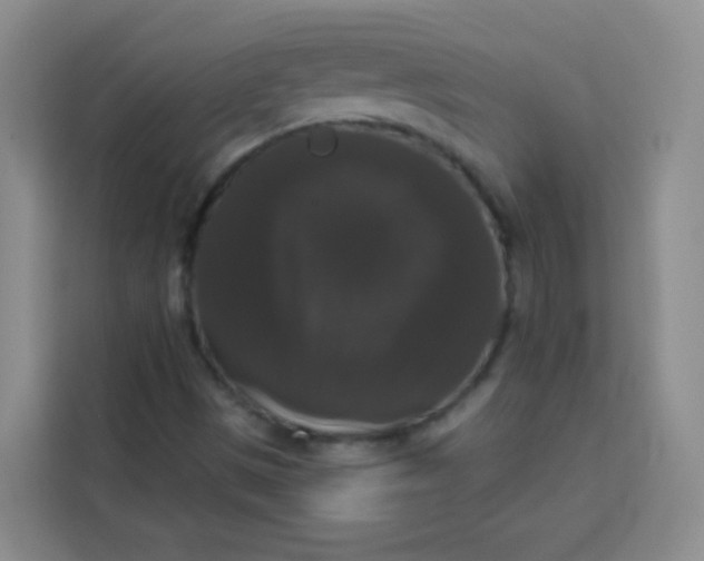 X0000113281497200910051030