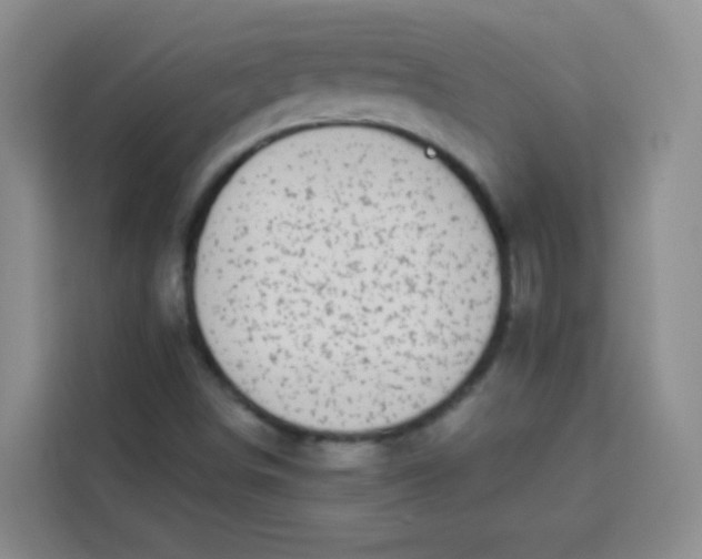 X0000113281498200910051030