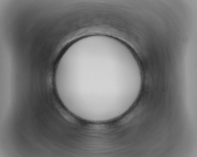 X0000113281499200910051030