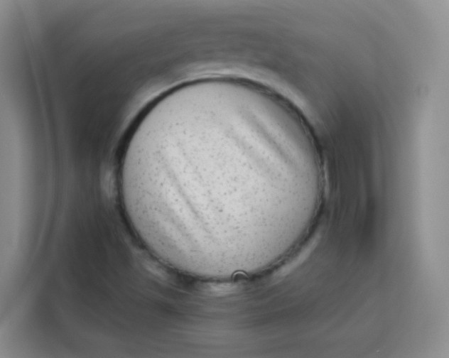 X0000113281501200910051030