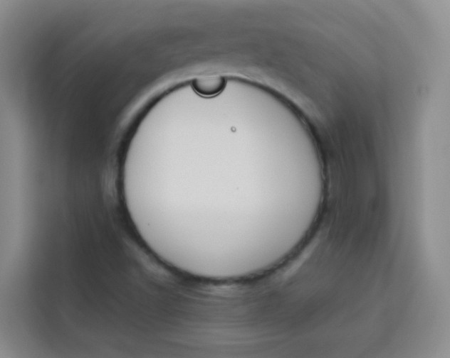 X0000113281502200910051030