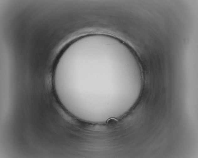 X0000113281503200910051030