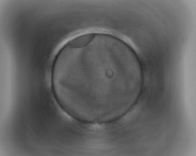 X0000113281504200910051030