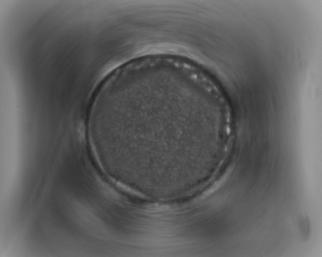 X0000113281505200910051030