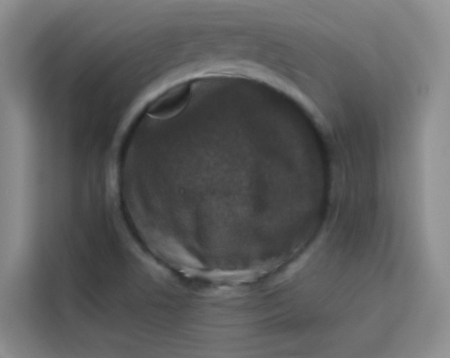 X0000113281506200910051030