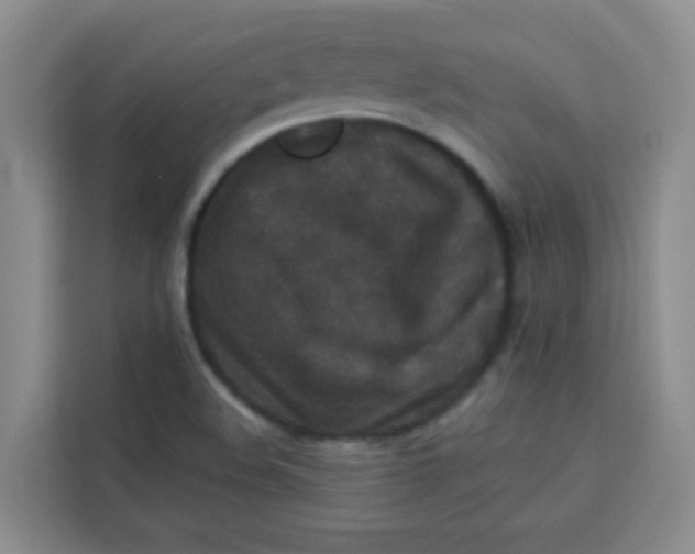 X0000113281508200910051030