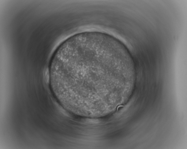 X0000113281509200910051030