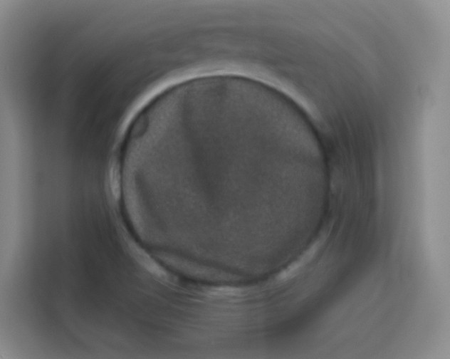 X0000113281510200910051030