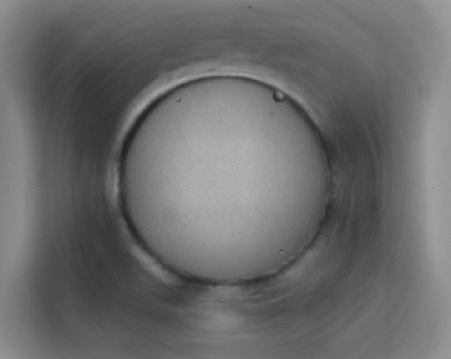 X0000113281511200910051030