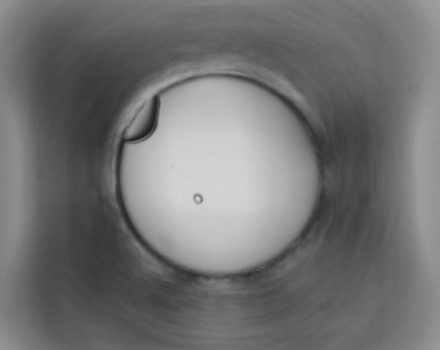 X0000113281512200910051030