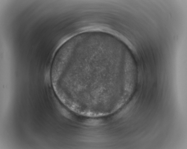 X0000113281513200910051030