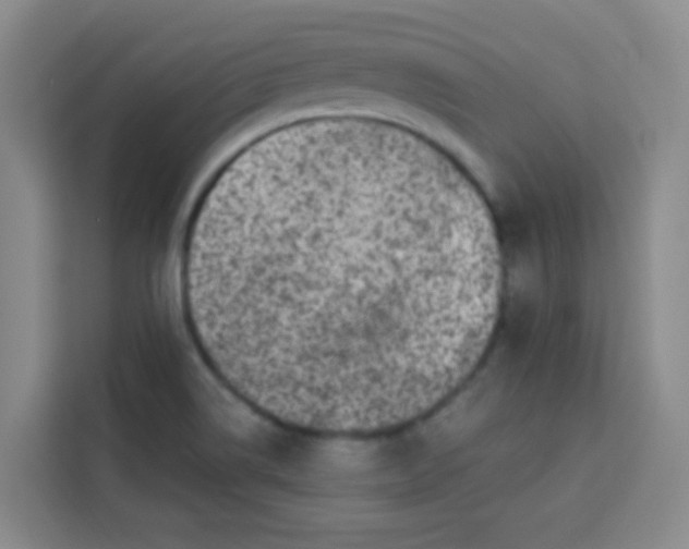 X0000113281514200910051030